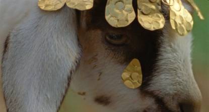 <b>Autour des sorties</b></br><i> Les Saisons </i> de Maureen Fazendeiro